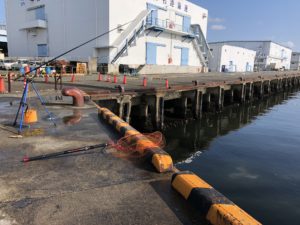 名古屋港 釣り