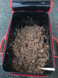 クロダイ 撒き餌
