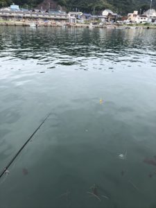 中洲漁港 サビキ釣り