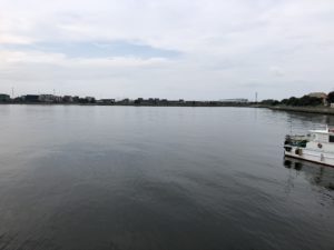 名古屋港 鍋田 ヒイカ