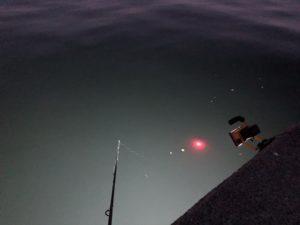 ヒイカ釣り　投光器